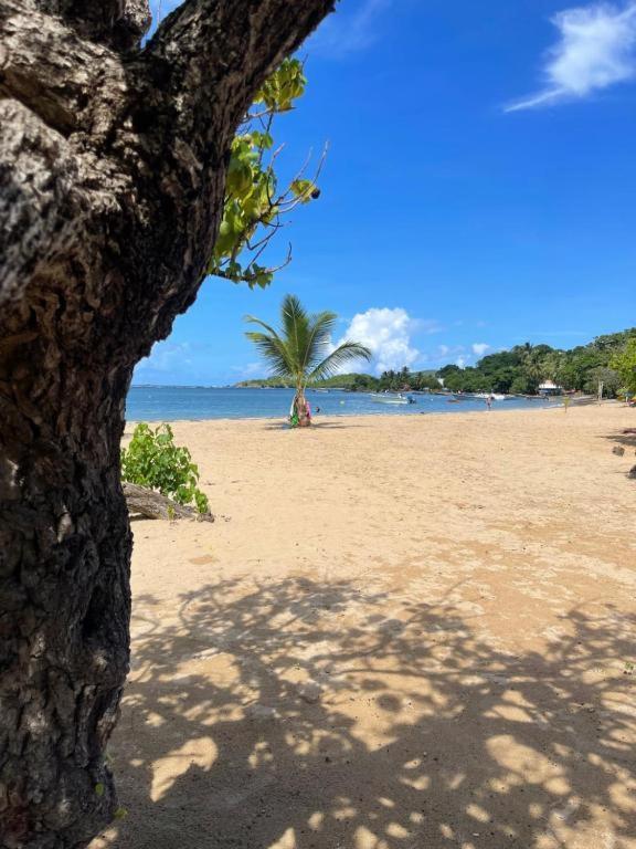 Studio Zen Island Tartane ลา ทรินิเต ภายนอก รูปภาพ